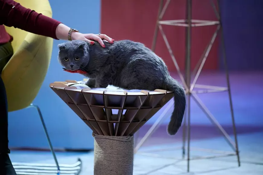 Un concurent în flăcări intră în „Imperiul Leilor”: „Vă prezint cea mai sigură meserie din lume!”