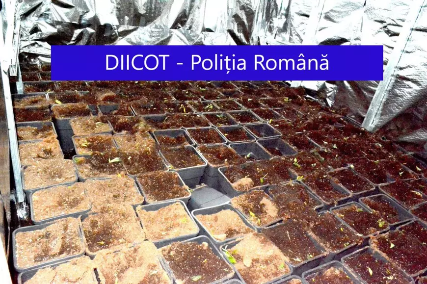 Doi bărbați din Galați, prinși când aruncau trei saci cu cannabis în Dunăre