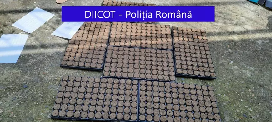 Doi bărbați din Galați, prinși când aruncau trei saci cu cannabis în Dunăre