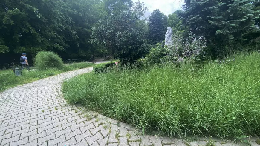Jungla Cișmigiu unde buruienile au peste un metru înălțime. Dacă Primăria Capitalei nu face nimic, voluntarii intervin