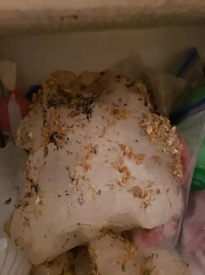 O bucată de gheață de 6 kilograme a spart acoperișul unei case din Wisconsin. „Părea că a explodat o bombă”