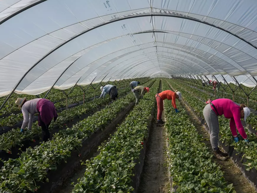 Românii din diaspora și viața lor departe de casă, într-un proiect expus la Bienala de la Veneția