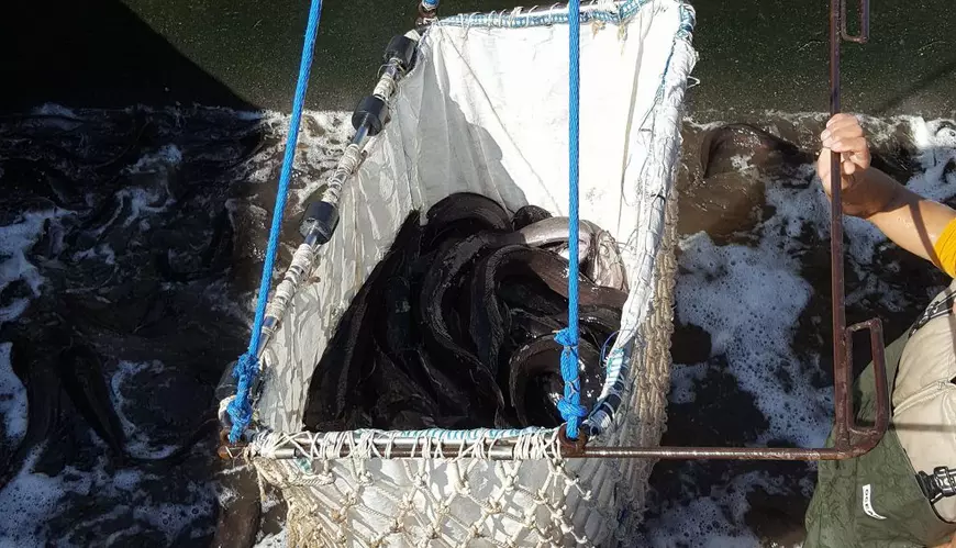 Cum arată ferma cu somn african deținută de omul de afaceri mort în explozia din Arad