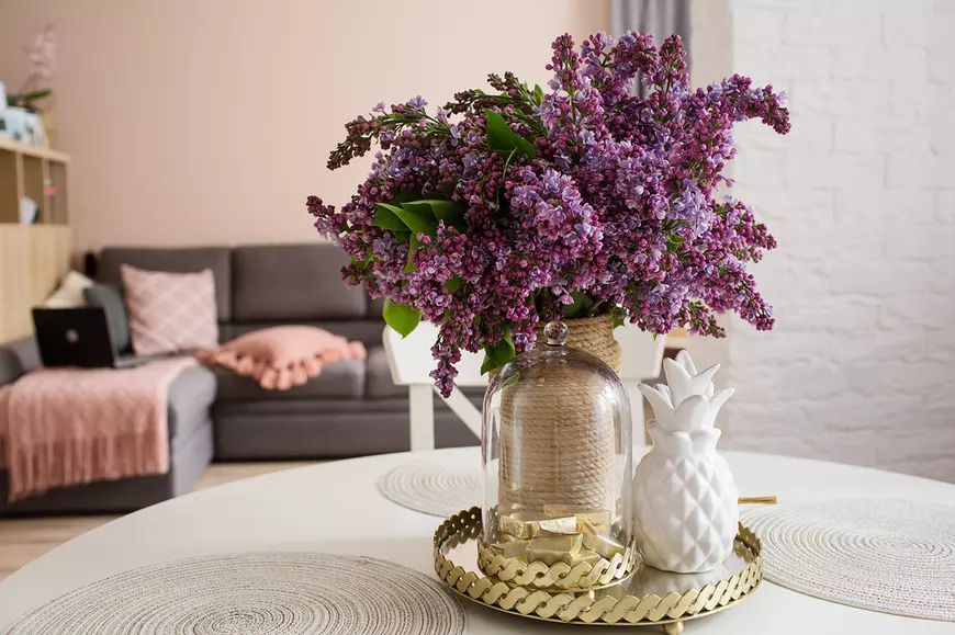 Flori de liliac tăiate 