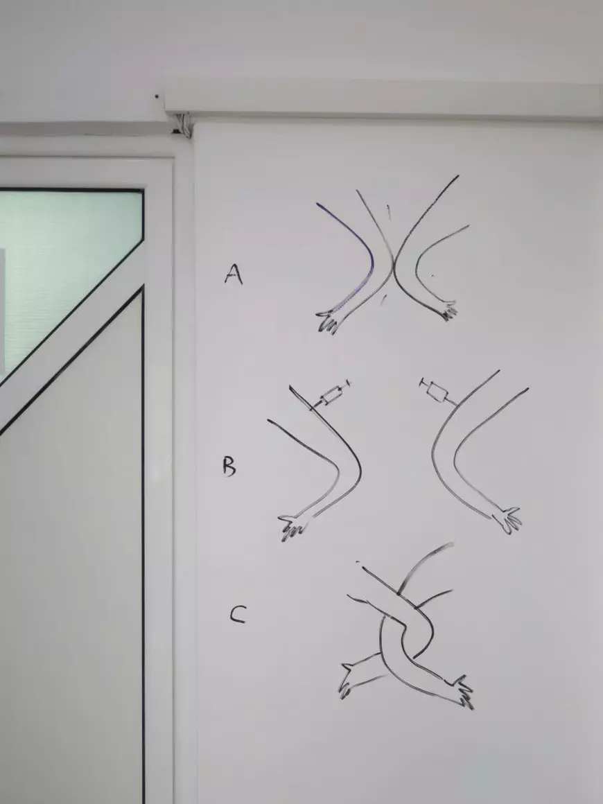 Neașteptatele mesaje despre vaccinare ale artistului Dan Perjovschi