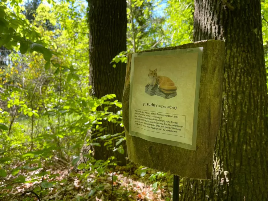 Întâlnire de gradul trei: prințul austriac a deschis ușa casei, i-a văzut pe ziariștii români și a zis „Nu!”﻿