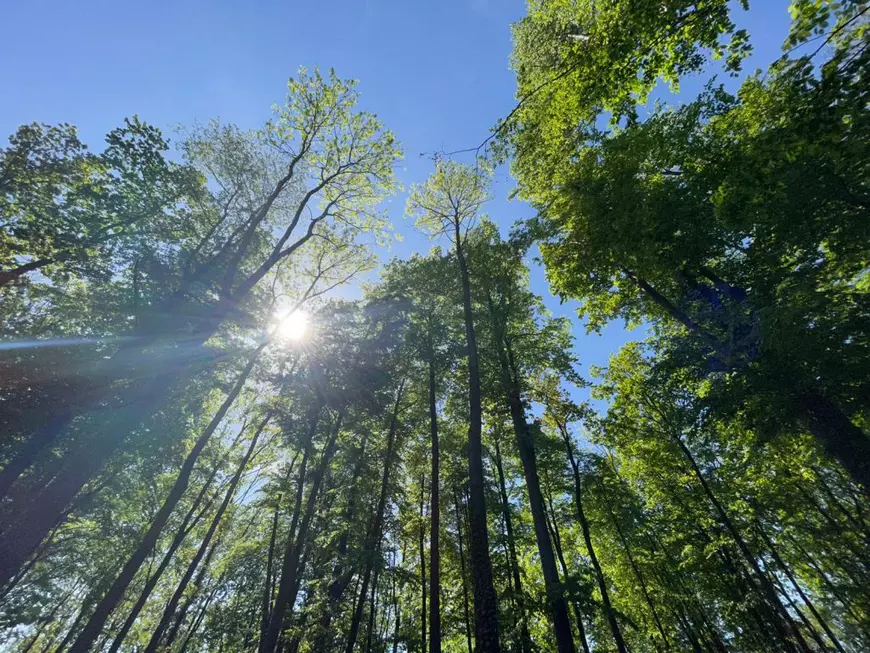 Întâlnire de gradul trei: prințul austriac a deschis ușa casei, i-a văzut pe ziariștii români și a zis „Nu!”﻿