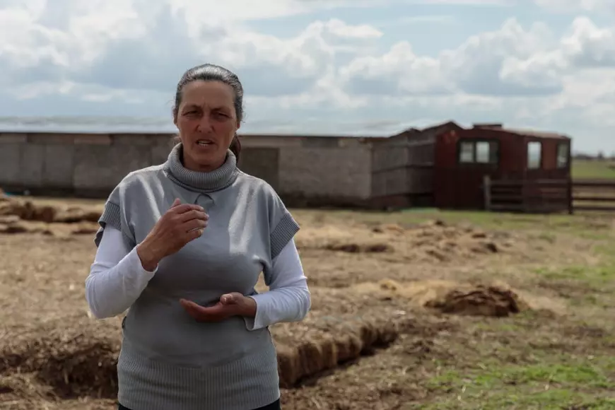 Cum se face justiția într-o comună izolată din Deltă. Cazul unui tânăr bătut cu bestialitate de alți doi: „O lună a mâncat cu paiul”