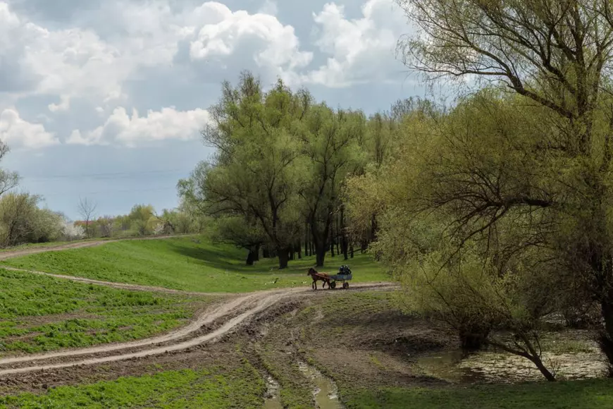 Cum se face justiția într-o comună izolată din Deltă. Cazul unui tânăr bătut cu bestialitate de alți doi: „O lună a mâncat cu paiul”