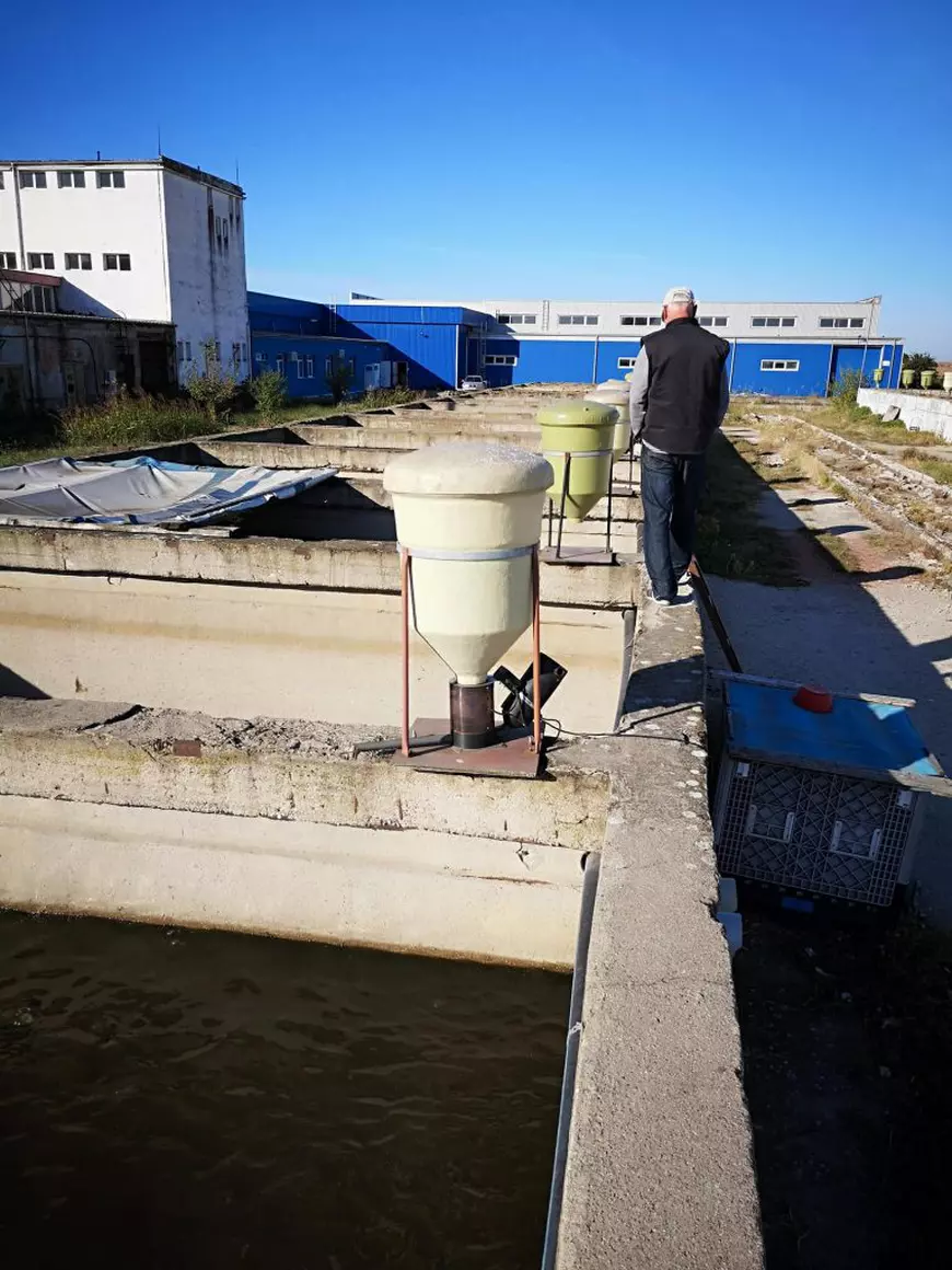 Cum arată ferma cu somn african deținută de omul de afaceri mort în explozia din Arad