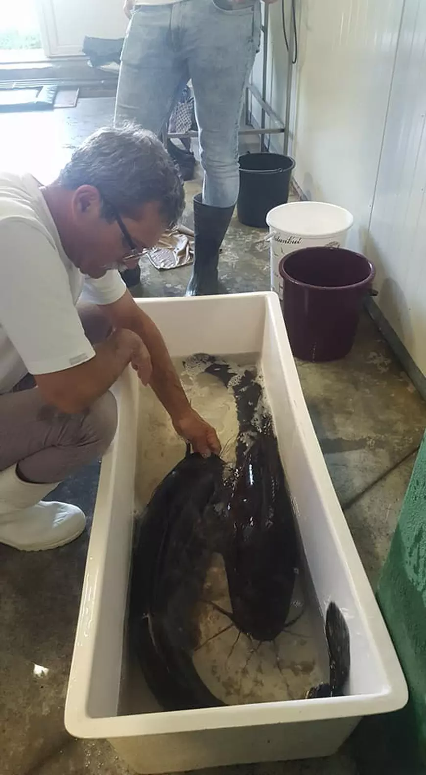 Cum arată ferma cu somn african deținută de omul de afaceri mort în explozia din Arad