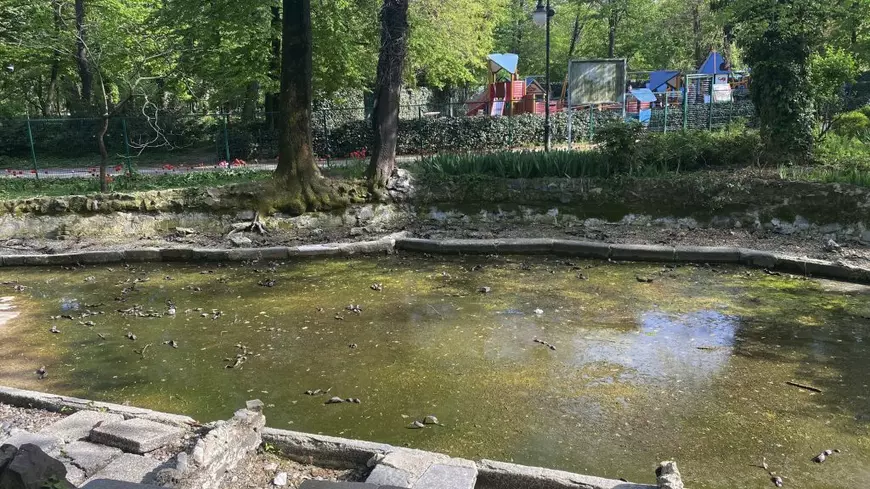Jungla Cișmigiu unde buruienile au peste un metru înălțime. Dacă Primăria Capitalei nu face nimic, voluntarii intervin