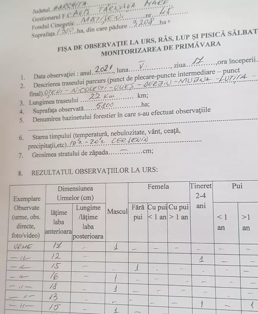 INTERVIU | „Noi am primit un pumn în faţă”. Gestionarul celui mai mare fond de vânătoare din Harghita prezintă din alt unghi cazul ursului Arthur