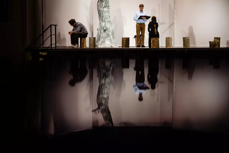 Tăierile ilegale de pădure, expuse într-un spectacol nominalizat la Premiile UNITER și creat într-un județ fără niciun teatru