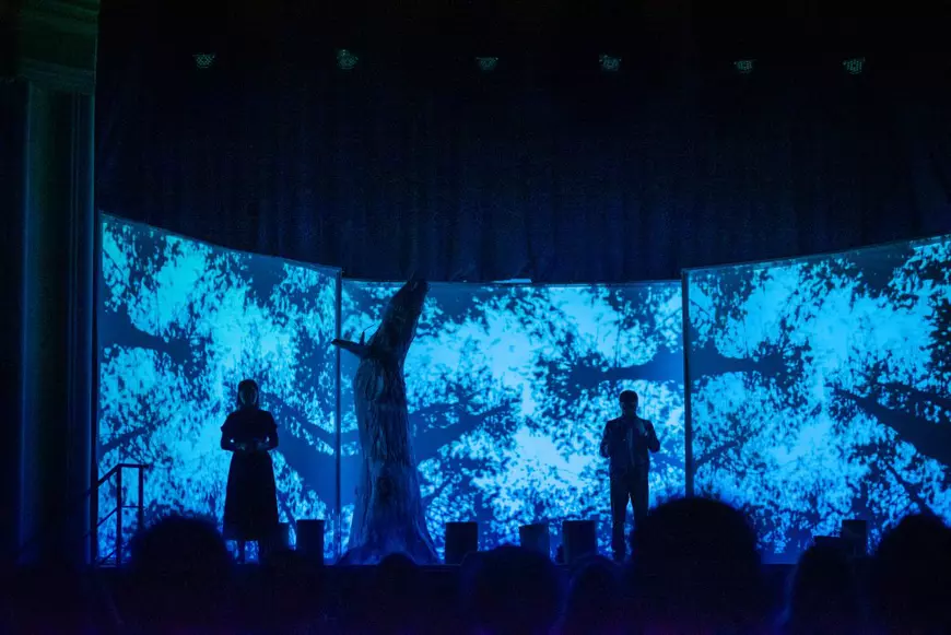 Tăierile ilegale de pădure, expuse într-un spectacol nominalizat la Premiile UNITER și creat într-un județ fără niciun teatru