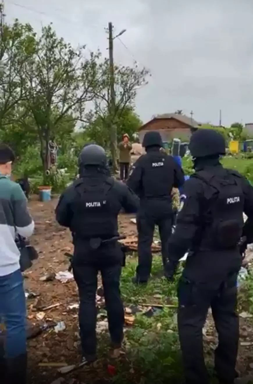 Trupele speciale au pătruns ca să prindă sute de câini şi pisici în Amzacea, dar autoritățile nu lămuresc unde le-au dus