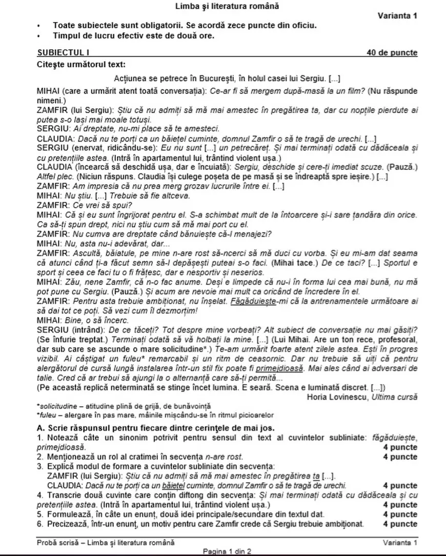 Modele de subiecte la Română la Evaluarea Națională. Ce subiecte s-au dat în anii trecuți