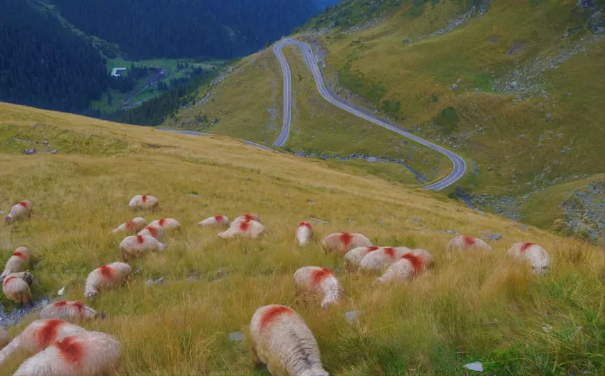 (Publicitate) 5 Idei de petrecere a timpului liber în Sibiu