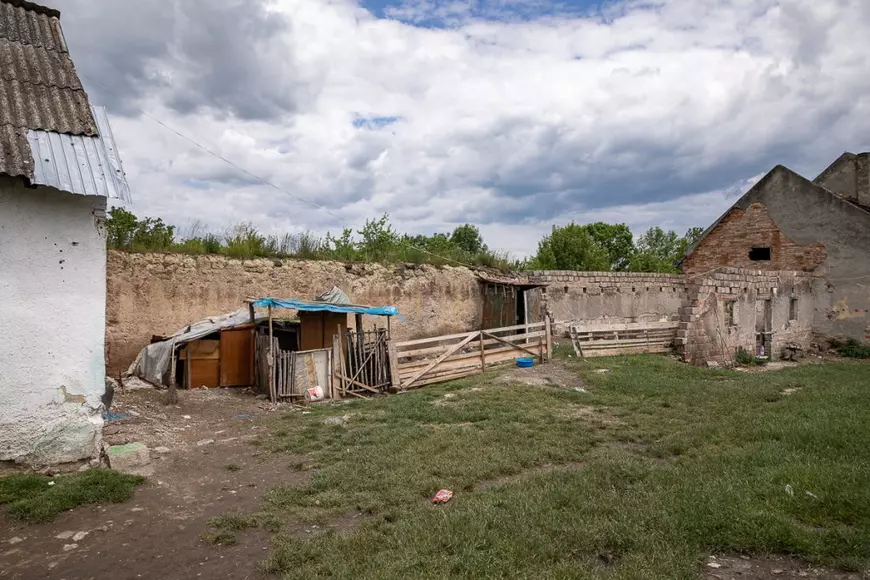 Povestea celor trei fetițe care au murit după ce au fost spălate pe cap cu soluție pentru oi. Cum au tratat autoritățile „rușinea” de a avea păduchi (I)