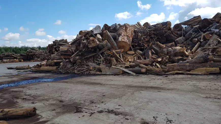 Cazul Kronospan. Cum protejează Ministerul Mediului cetățenii români de poluarea produsă de marii jucători din industria lemnului