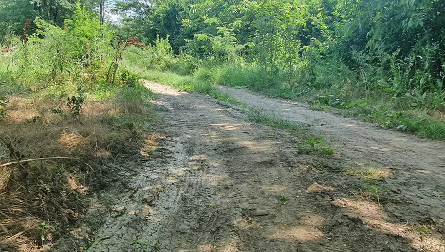 Off-road pe una dintre cele mai proaste străzi din București: de ce Oprescu, Firea și Nicușor Dan n-au reușit să o asfalteze