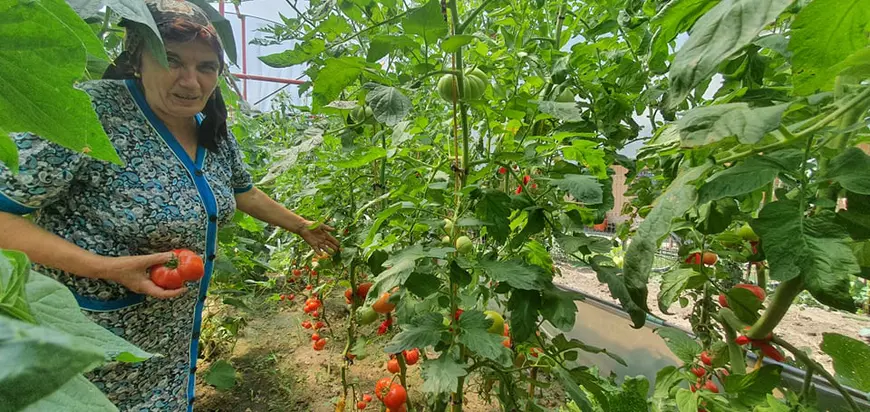 REPORTAJ. Coada de la „textile” pentru vaccin. Cum a primit comuna natală a Elenei Ceaușescu comisarul european pentru Sănătate