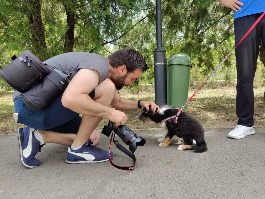 Târg de adopții de câini, în Parcul Izvor din București