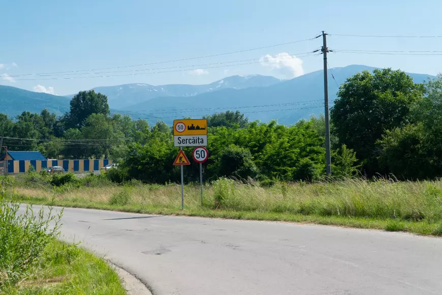 Dansând cu urșii. Cum s-au dat derogări pe fondurile cinegetice gestionate de președintele CA Romsilva și de un fost șef al vămilor