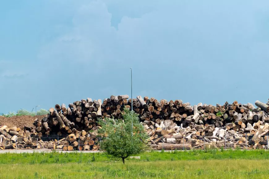 Cazul Kronospan. Cum protejează Ministerul Mediului cetățenii români de poluarea produsă de marii jucători din industria lemnului