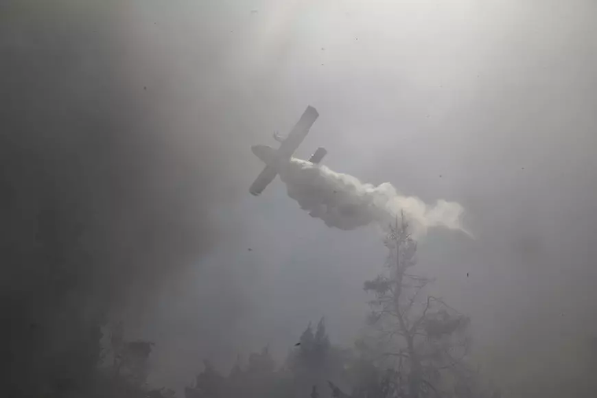 Incendiul care a făcut ravagii lângă Atena, provocat de un fermier care afuma stupii