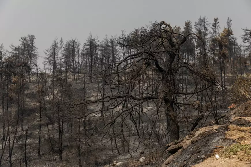 Tragedia greacă, în 14 scene impresionante. Ce a rămas în urma incendiilor care au devastat Insula Evia, unde acționează pompierii români