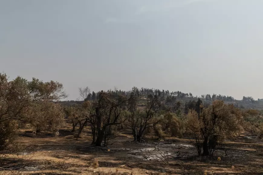 Tragedia greacă, în 14 scene impresionante. Ce a rămas în urma incendiilor care au devastat Insula Evia, unde acționează pompierii români