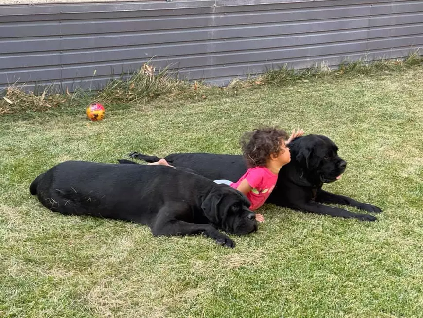 Imaginea cu Namiko, fiica lui Cabral, care a stârnit controverse pe internet. „Nu e periculos?”