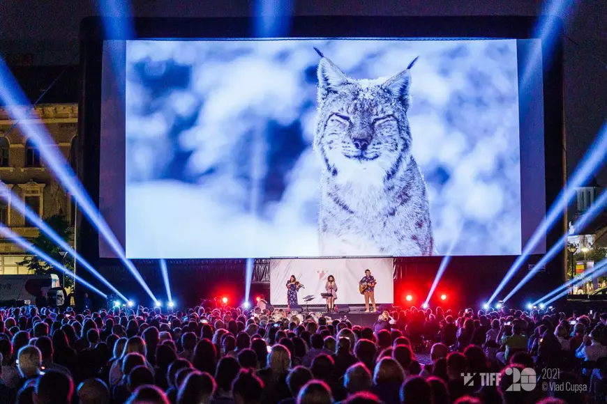 Cum au reușit doi pasionați de natură să facă singuri documentarul „România sălbatică”. „Am surprins scene care i-au uimit și pe biologi”