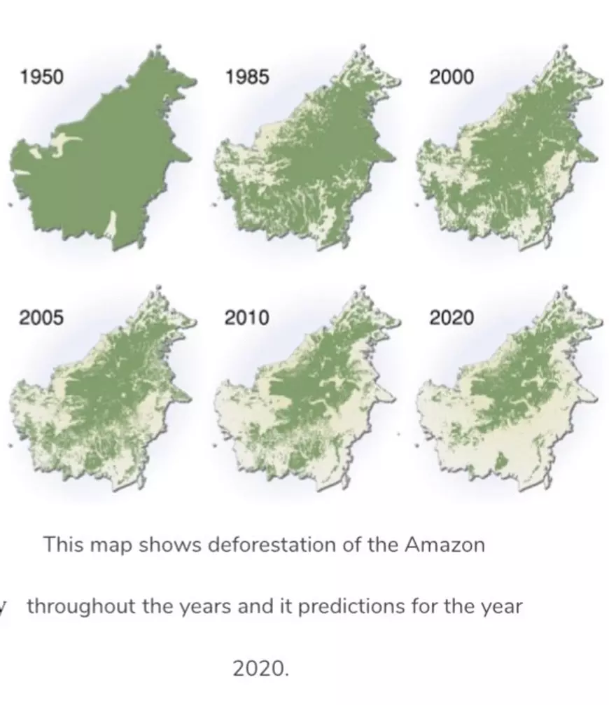 Marea Negație. De ce ignorăm criza climatică și ne irosim șansele la viață?