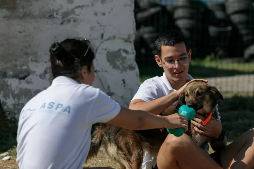 Sermet studiază informatica în Turcia și a venit în România să aibă grijă de câinii din adăposturi