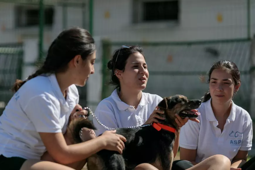 Doga (în prim plan), Kardelen (stânga) și Damla (dreapta)