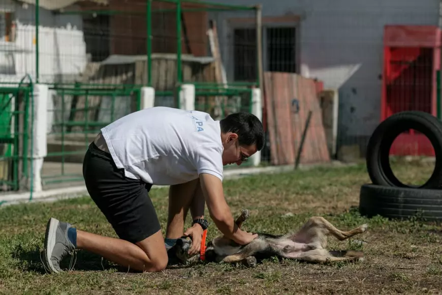 Sermet se joacă cu unul dintre cățeii din adăpostul ASPA Bragadiru