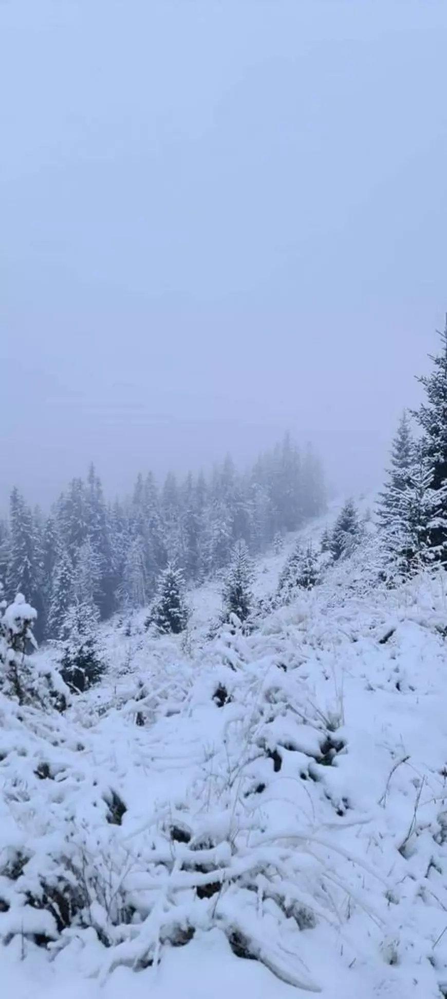 A nins în mai multe zone din țară. Imagini surprinse la Rânca, Luncile Prigoanei și pe Transalpina