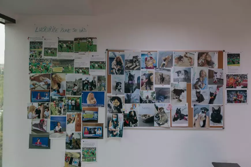 „Lucrurile bune se văd”