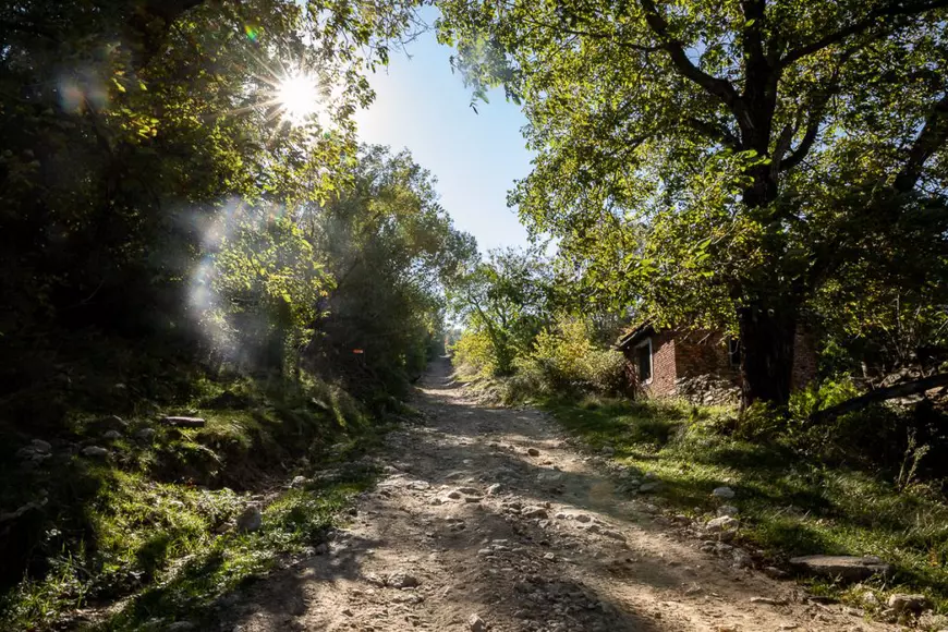 REPORTAJ. „Cât mă bucur că aud și eu română”. Viața ultimilor doi oameni dintr-un sat-fantomă din Semenic