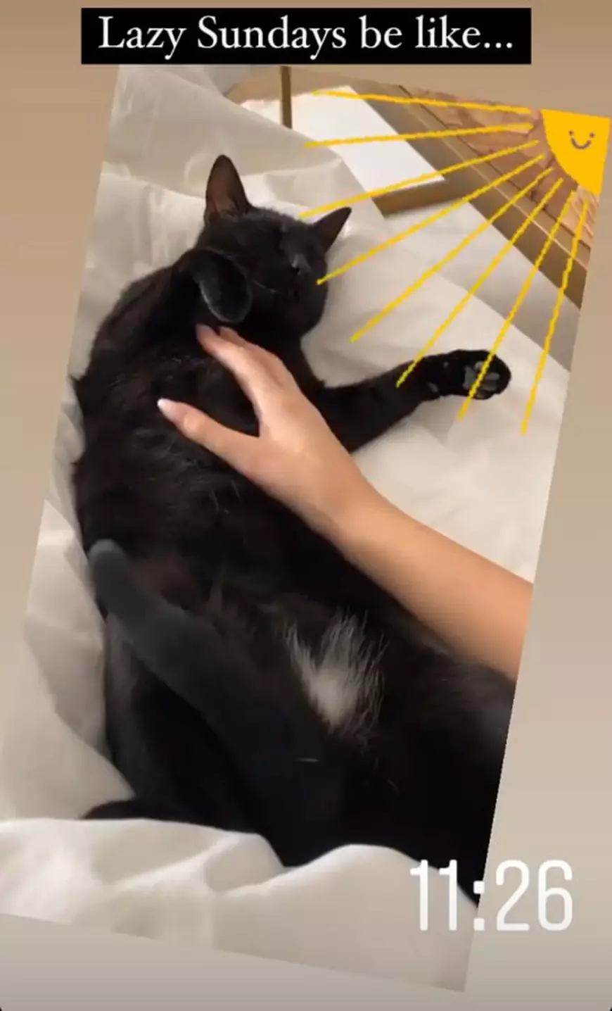 Liviu Dragnea la cratiță. Cum l-a pozat Irina Tănase pe fostul politician în bucătărie