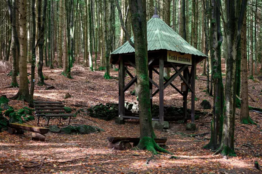 „O minune că a supraviețuit”. Julia, o fetiță de 8 ani care s-a rătăcit de familie în Munții Cerchov, găsită de un pădurar ceh, după 45 de ore de căutări