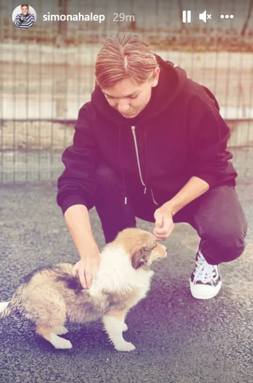 Cadoul primit de Simona Halep de la Toni Iuruc la revenirea în România, după Indian Wells. „Casă dulce casă”