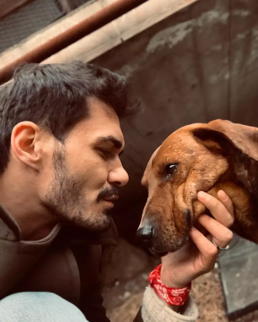 Mesajul Vivianei Sposub după ce iubitul ei, George Burcea, a îndemnat pe Instagram ca femeile să fie bătute. „Nu rezonez cu ideile expuse în reacția lui”