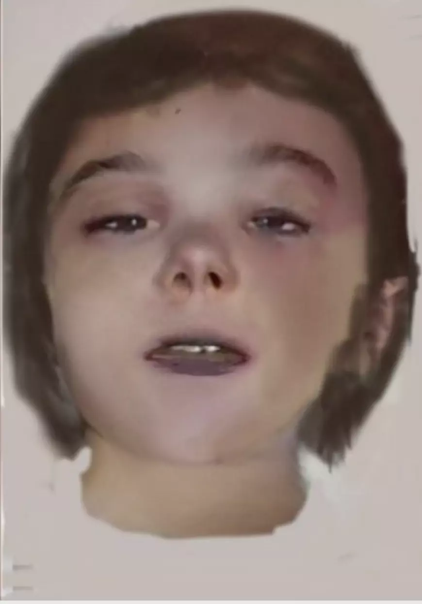 Chipul fetiței ucise și incendiate lângă cimitir, la Arad, reconstituit de Poliție. Cine o recunoaște să apeleze 112