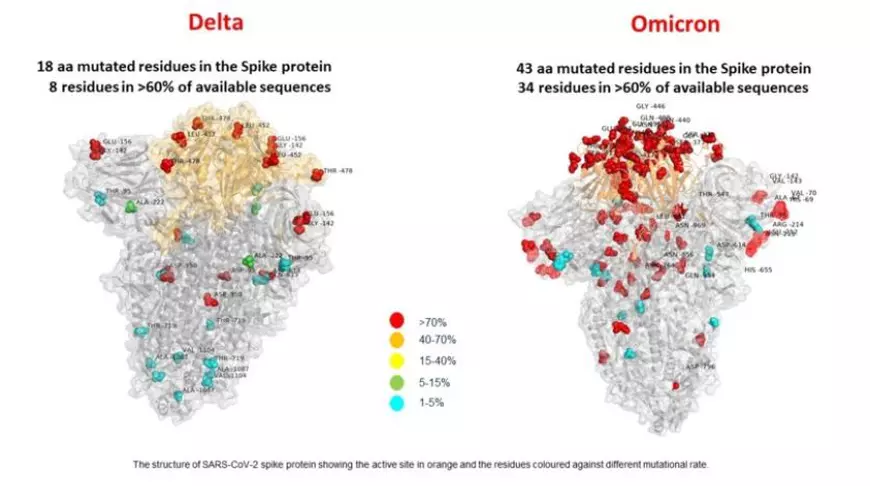 Prima imagine a variantei Omicron arată mai multe mutații decât la varianta Delta. Ce spun cercetătorii