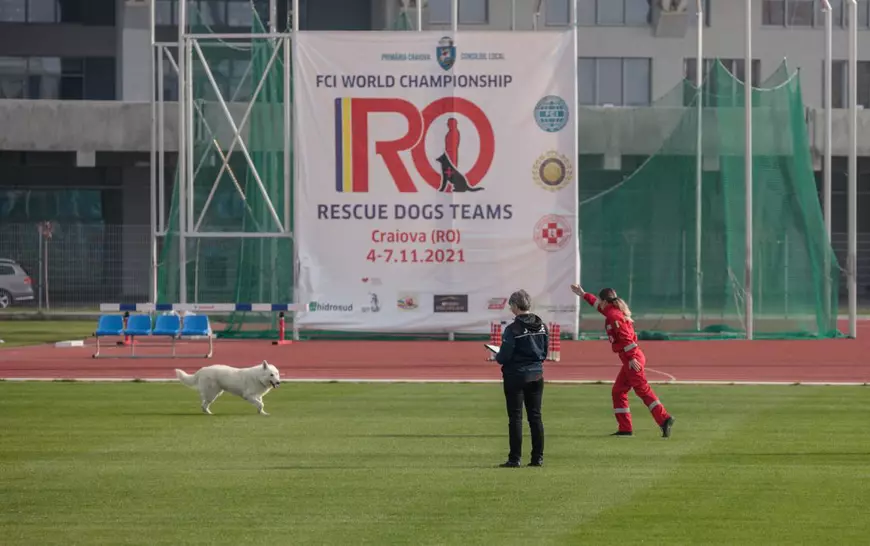 Una dintre probele Campionatului Canin a constat în obediență - cât de ascultători sunt câinii față de stăpânii lor