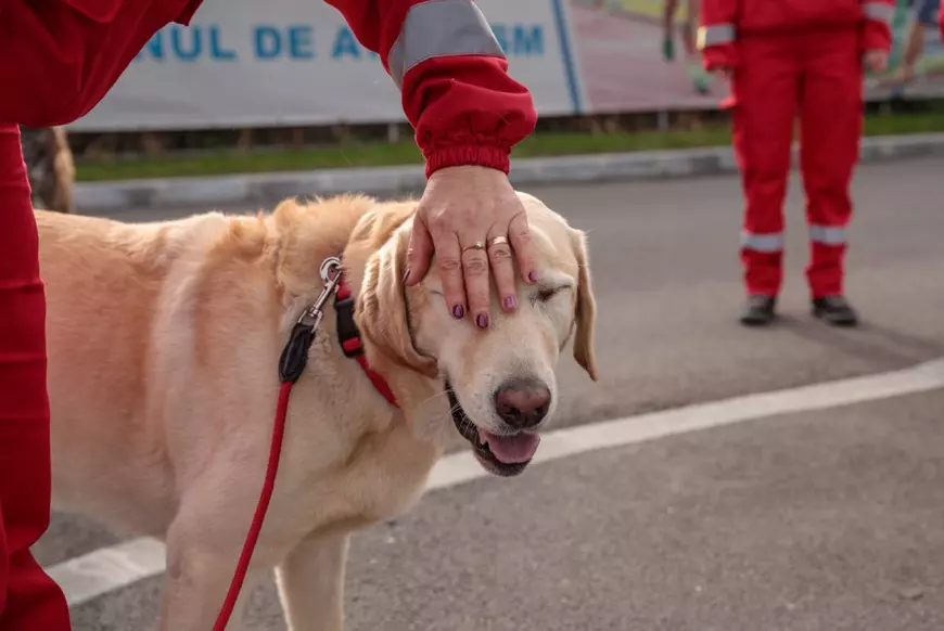 Oscar se află la al treilea Campionat Mondial
