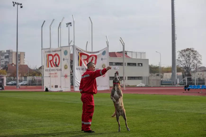 Când cel mai bun prieten al omului îți salvează viața. Cum se pregătesc câinii și voluntarii pentru eventuale catastrofe